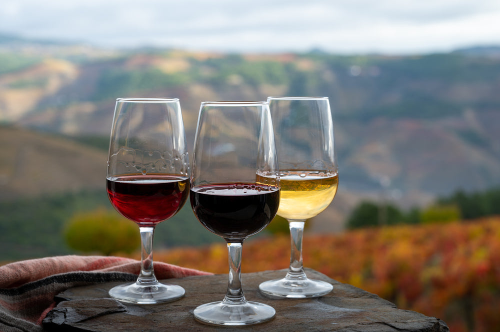 As 5 características que deve ter em conta para se tornar um verdadeiro conhecedor de Vinho do Porto