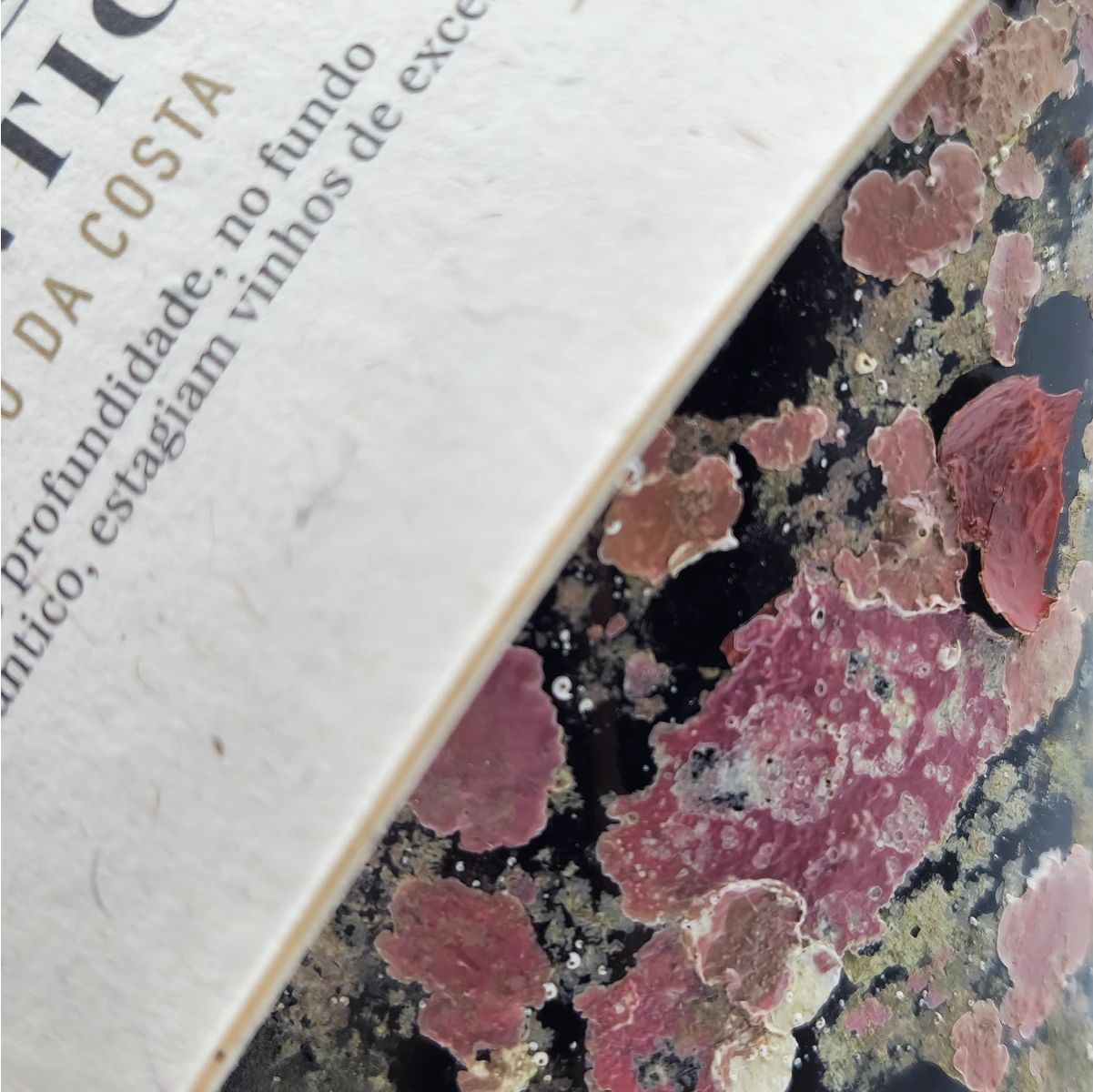 Vinho do Atlântico Tinto