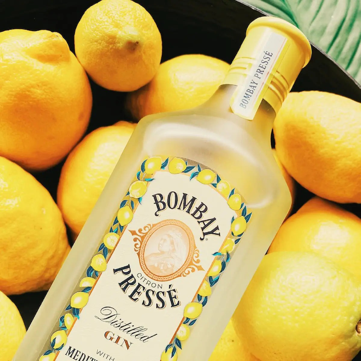 Gin Bombay Citron Pressé