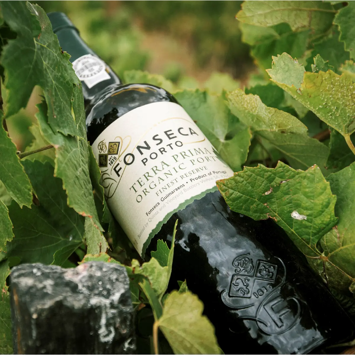 Fonseca Terra Prima Organic Finest Reserve