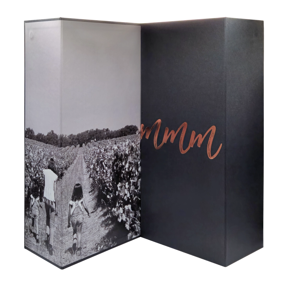 Gerações M by Tiago Cabaço Tinto 2013