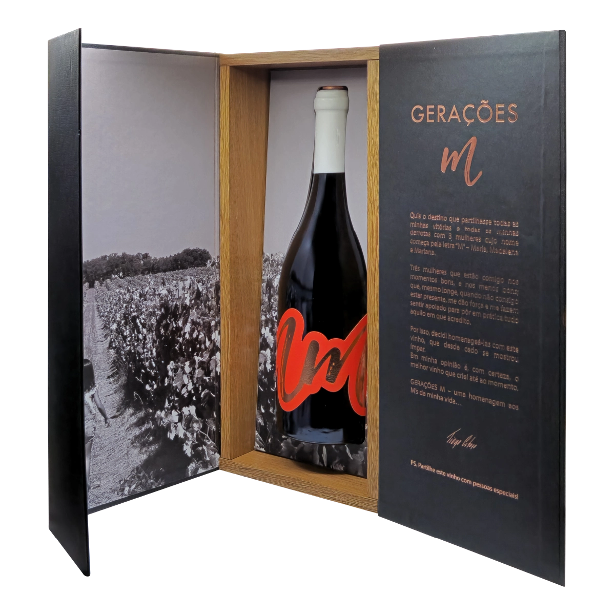 Gerações M by Tiago Cabaço Tinto 2013