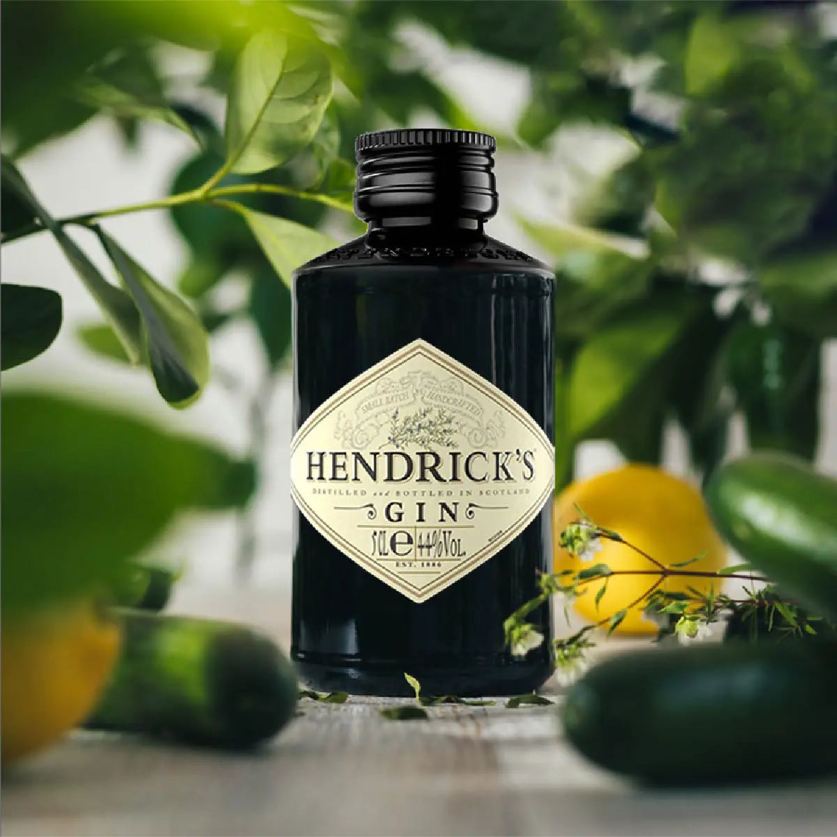 Gin Hendrick's