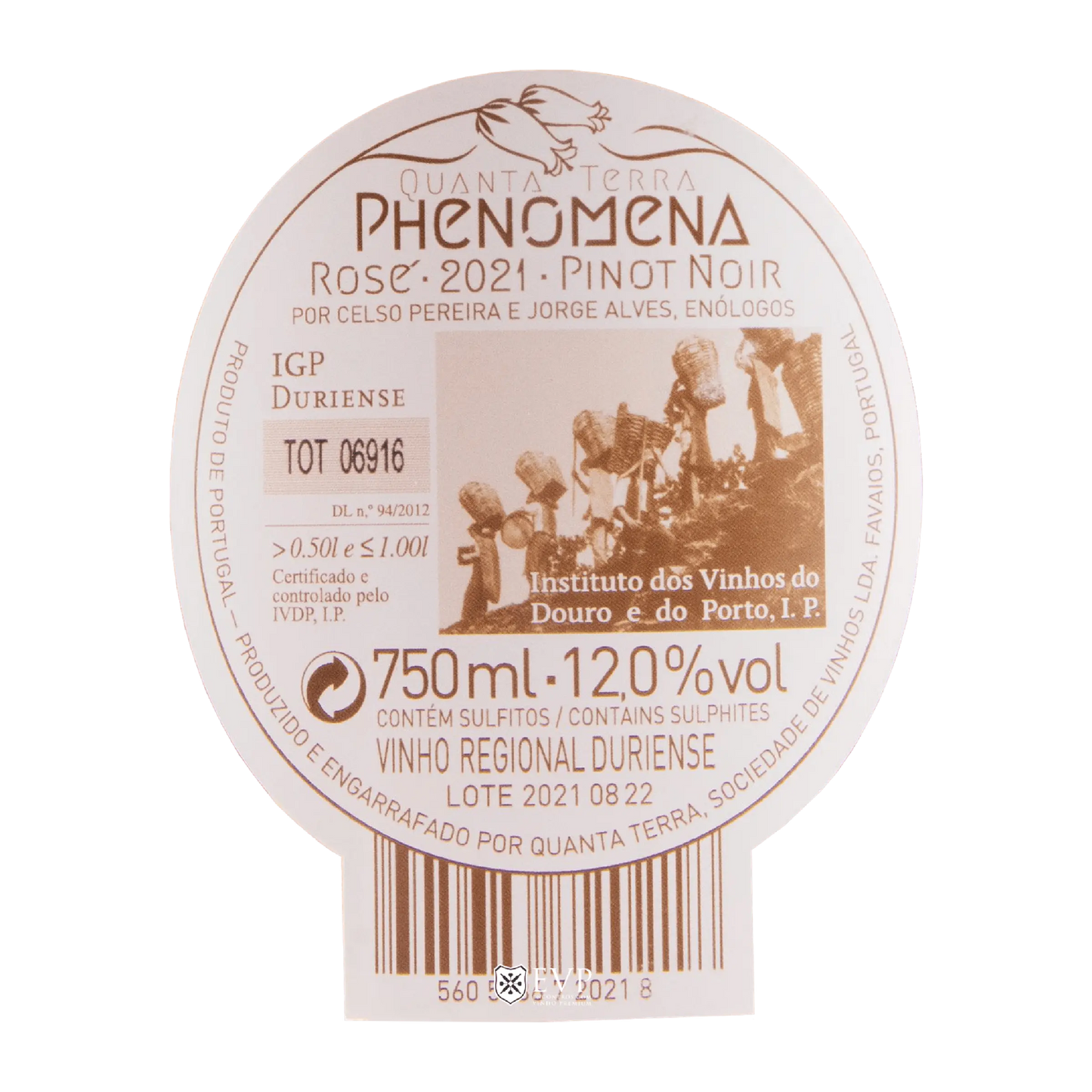 Phenomena Rosé 2021