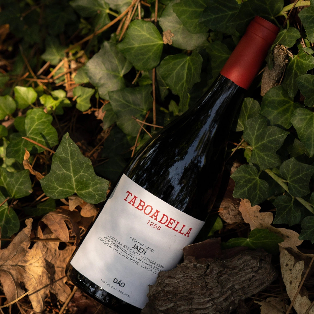 Pack Taboadella Villae + Jaen Reserva