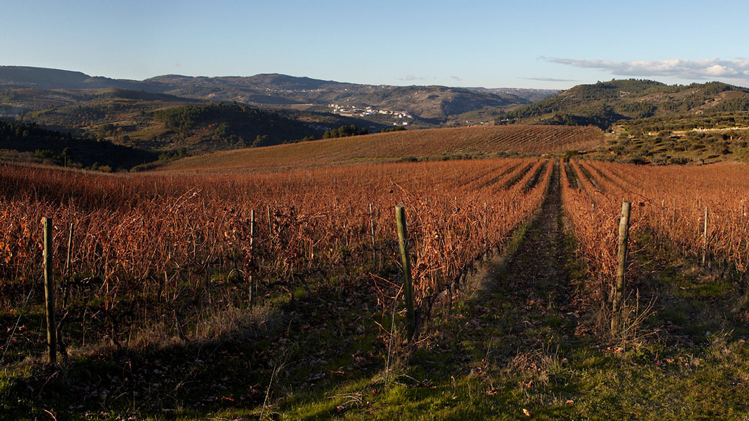 Livro Vinhos de Portugal – As 14 regiões e seus vinhos  Viva o Vinho Livro  Vinhos de Portugal – As 14 regiões e seus vinhos