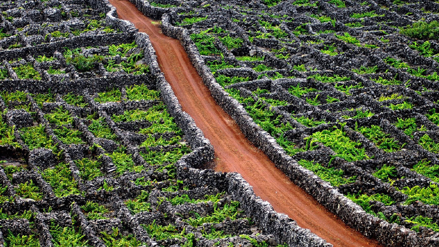 Açores