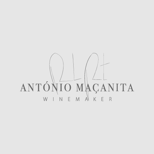 António Maçanita