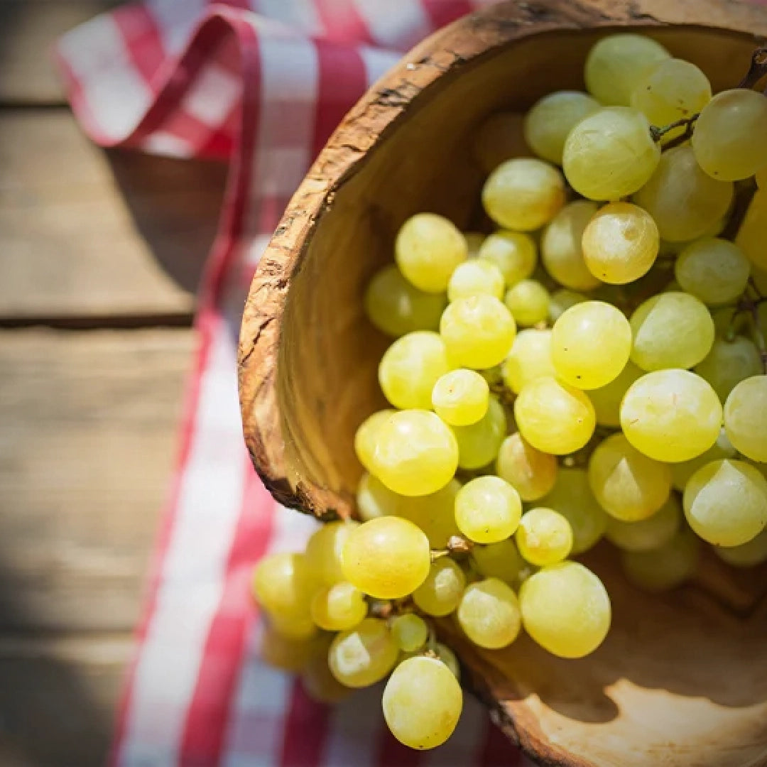 Vinhos Vegan