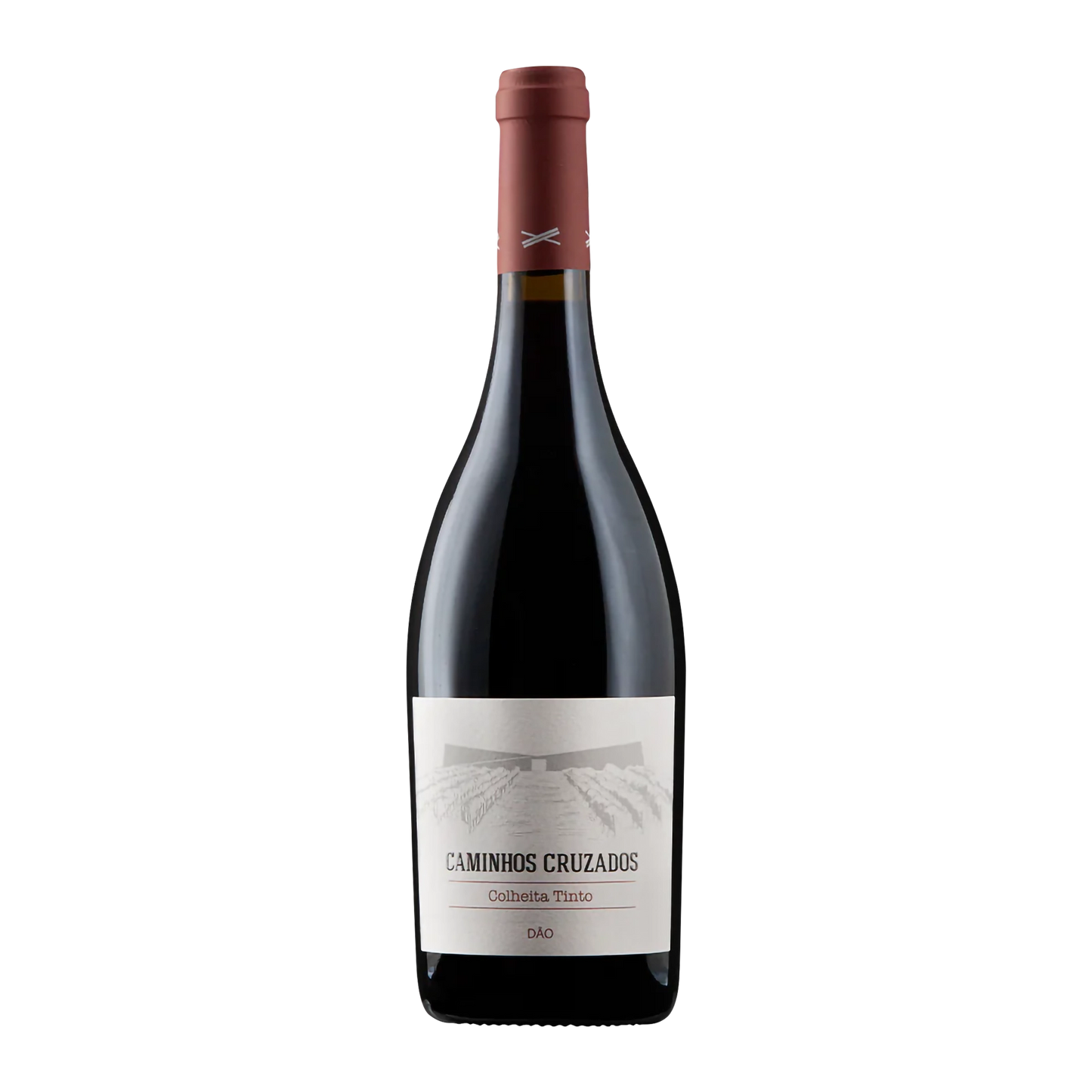 Caminhos Cruzados Colheita Tinto 2018
