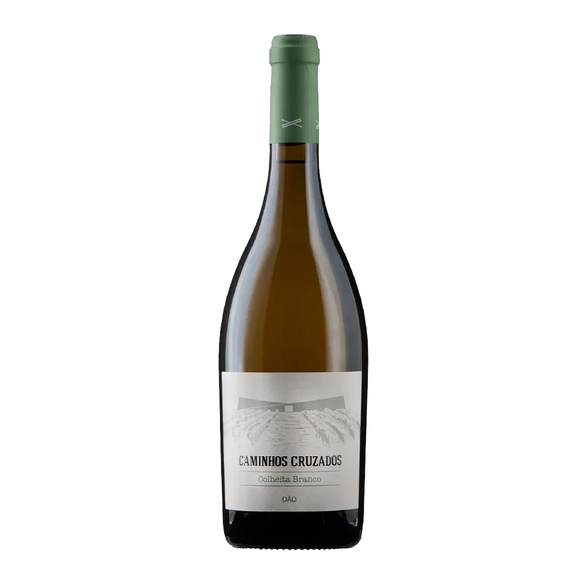 Caminhos Cruzados Colheita Branco 2020