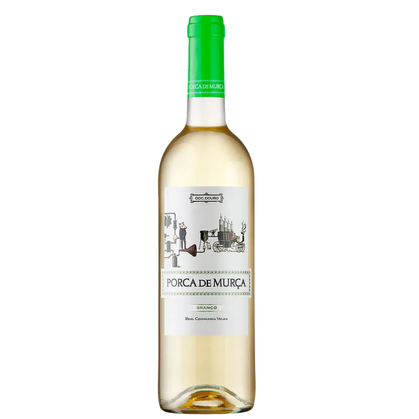 Porca de Murça Branco 2022