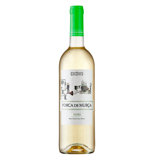 Porca de Murça Branco 2022